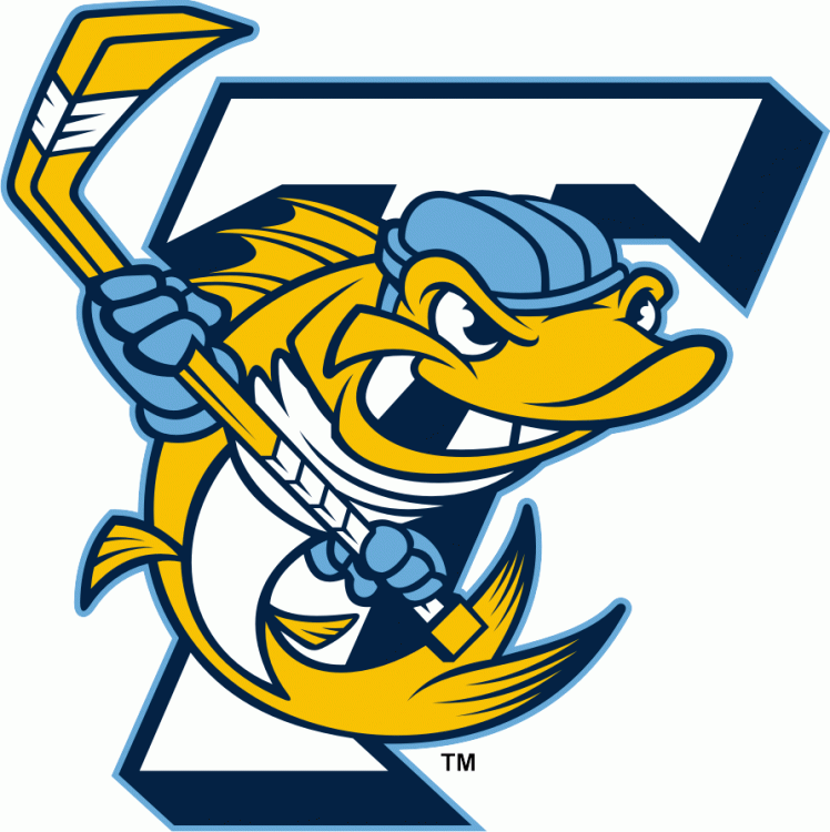 toledo walleye 2009-pres alternate logo iron on heat transfer